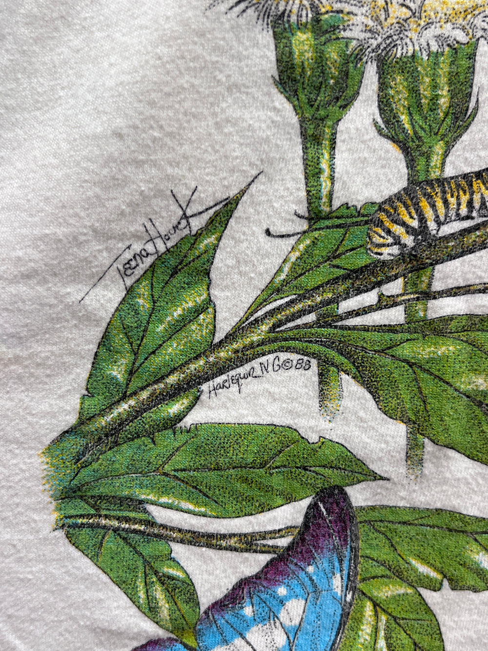 昆虫Tシャツ