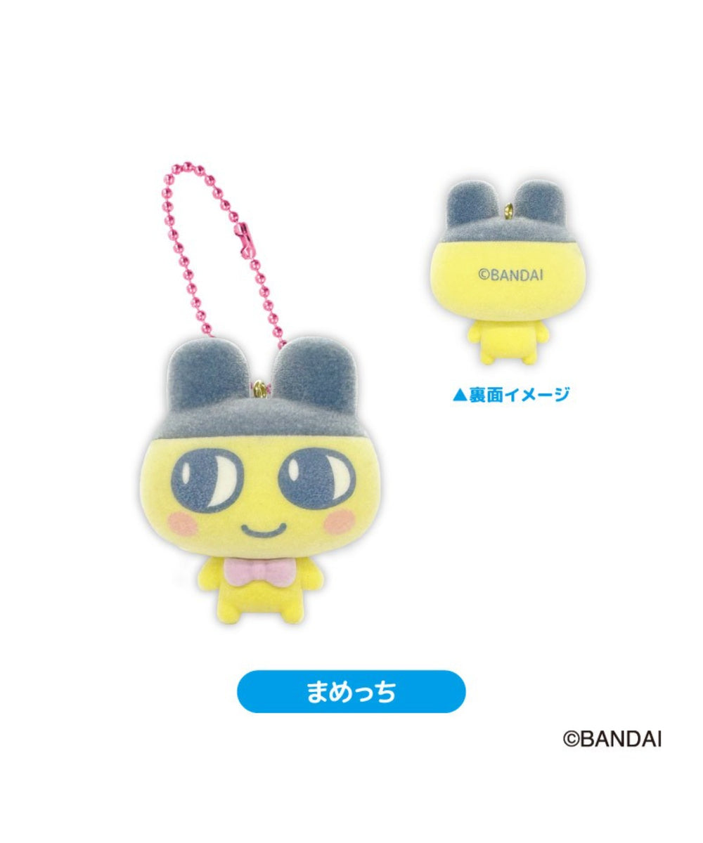 柄1：まめっち