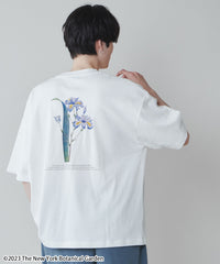 柄１ / M