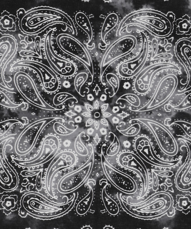 柄1