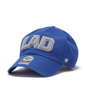柄２：LAD