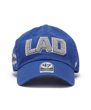 柄２：LAD