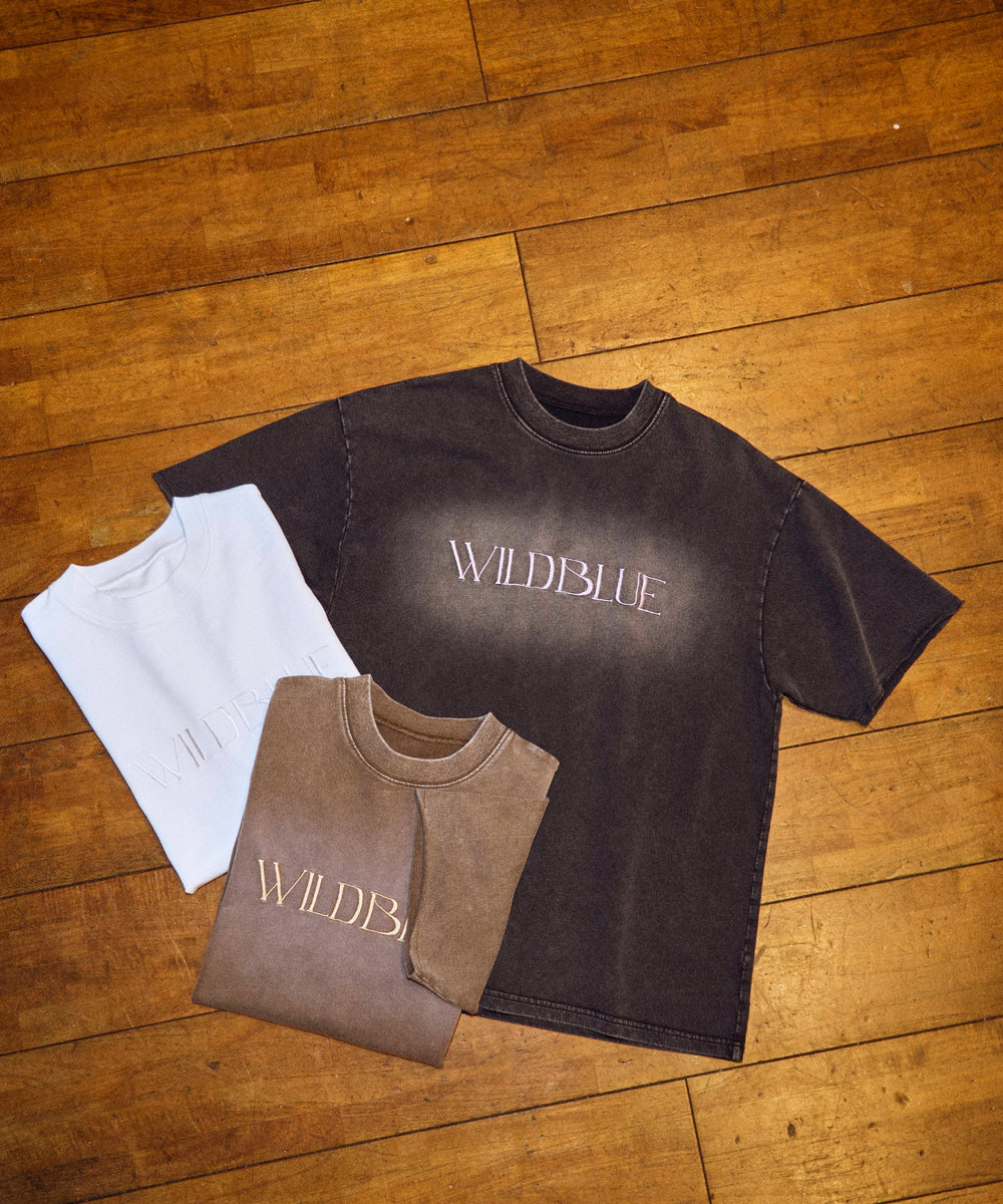 WILD BLUE　グラフィックブリーチTシャツ