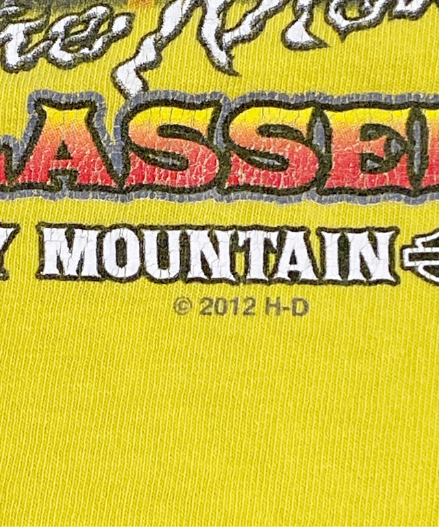 HARLEY-DAVIDSON Tシャツ