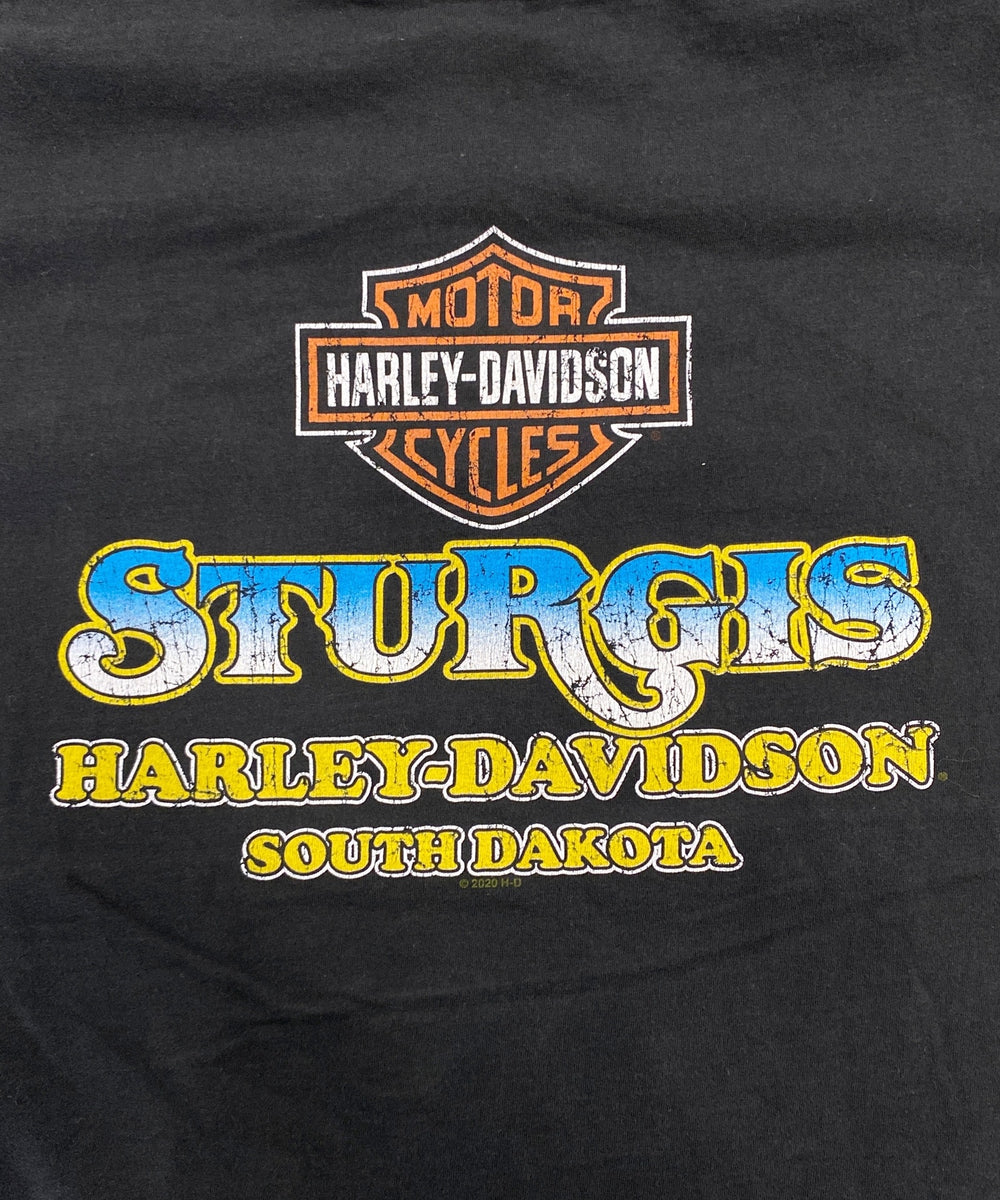 HARLEY-DAVIDSONTシャツ