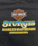 HARLEY-DAVIDSONTシャツ