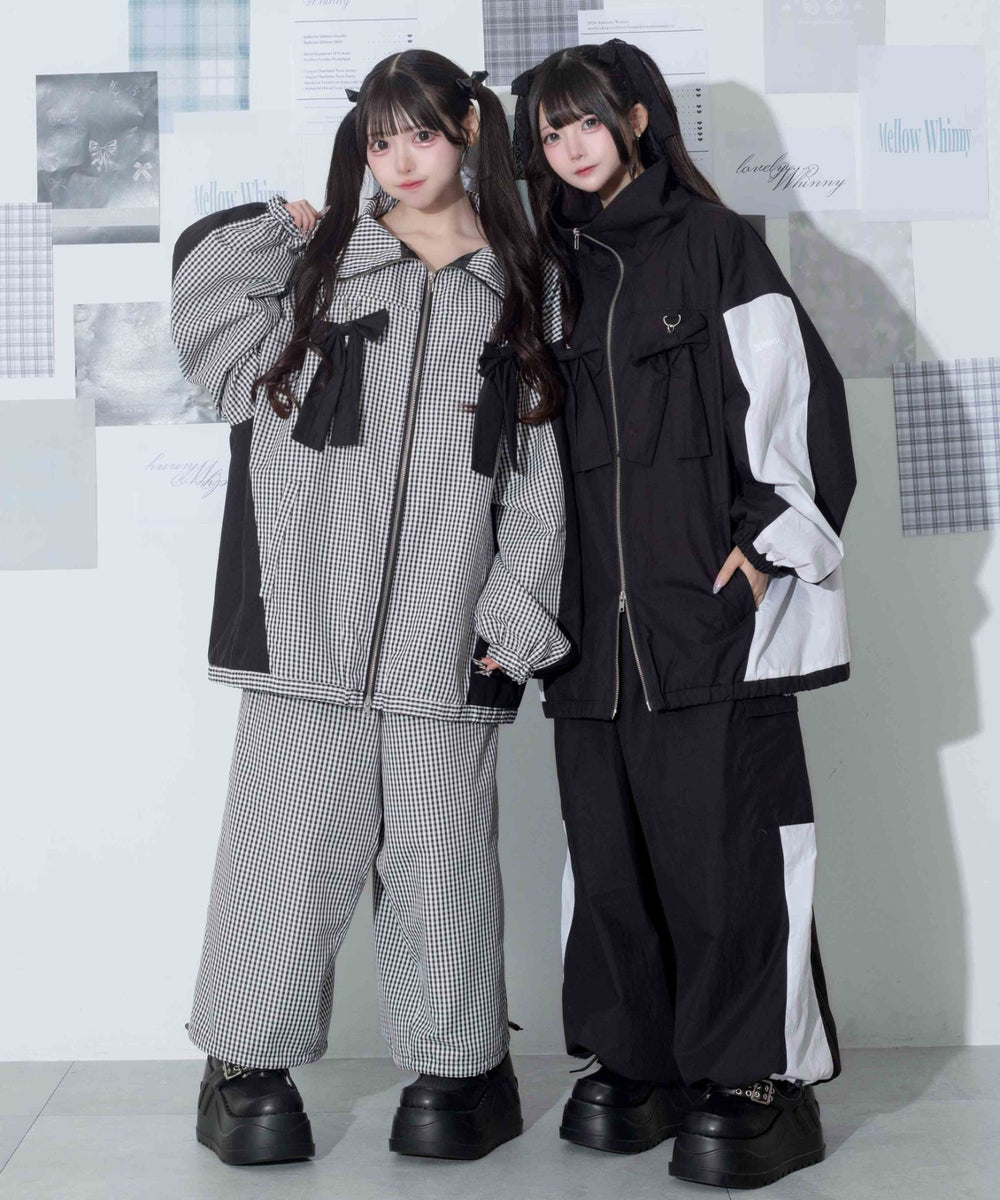 大好きな南極パラダイス